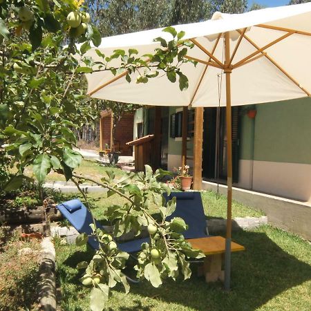 Ecobosque Villa Nadadouro Luaran gambar
