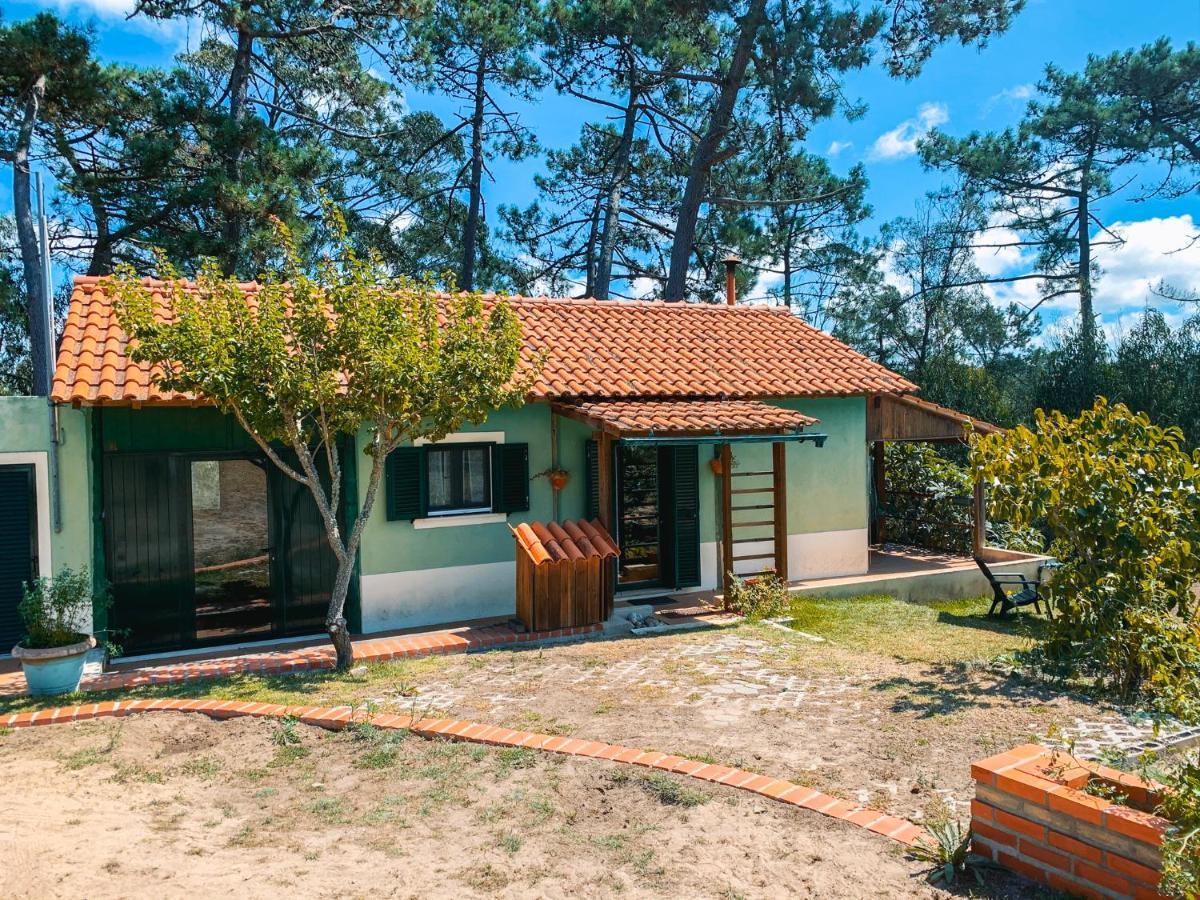 Ecobosque Villa Nadadouro Luaran gambar