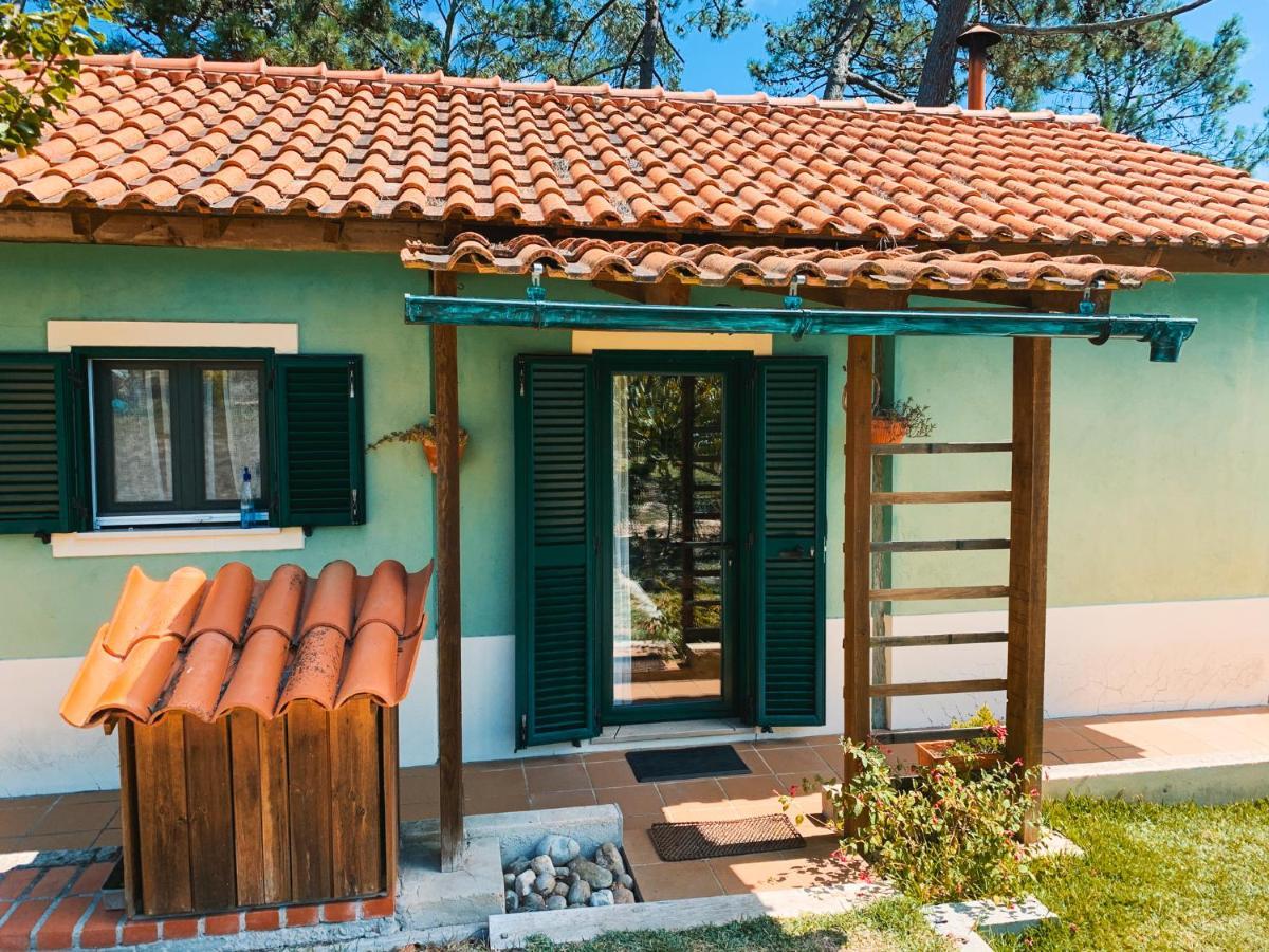 Ecobosque Villa Nadadouro Luaran gambar