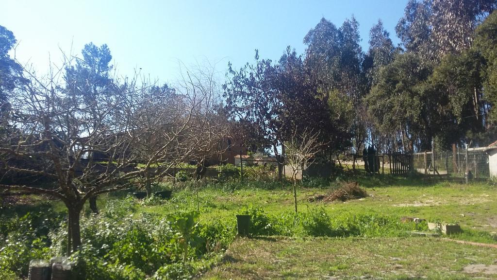 Ecobosque Villa Nadadouro Luaran gambar
