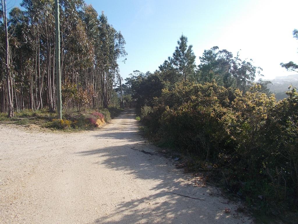 Ecobosque Villa Nadadouro Luaran gambar