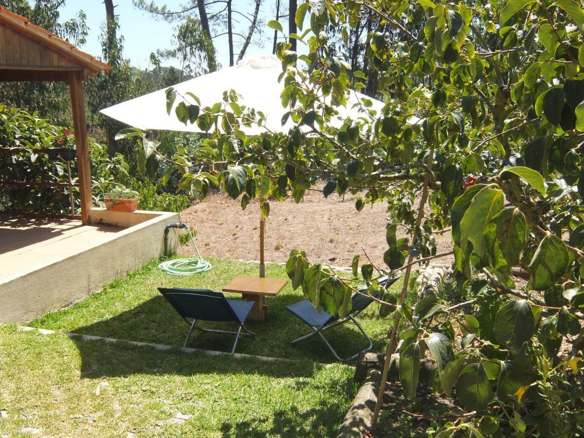 Ecobosque Villa Nadadouro Luaran gambar
